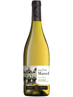 Вино Les Fils de Marcel Sauvignon, Atlantique IGP 2024, 0.75 л