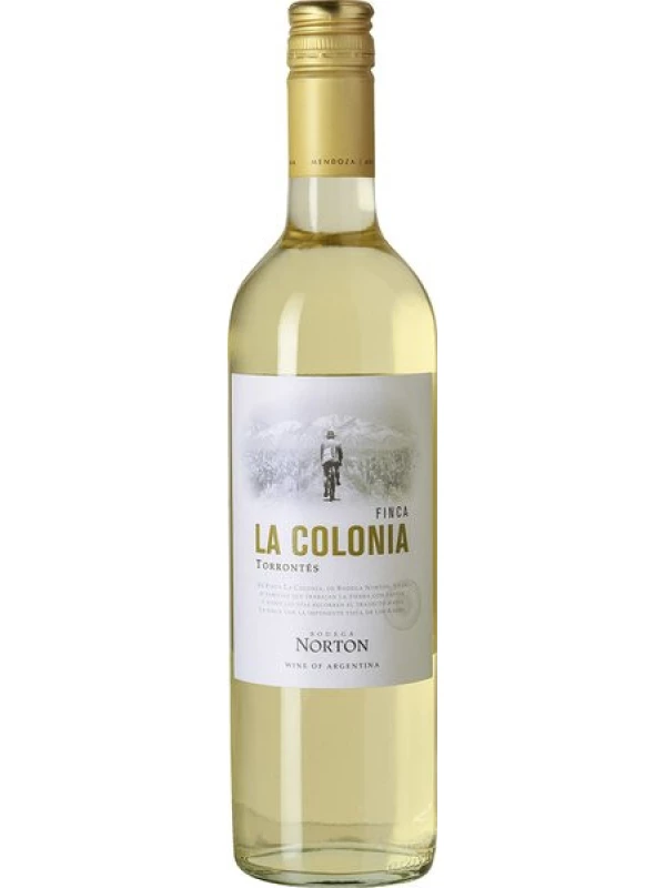 Norton, Finca La Colonia Torrontes