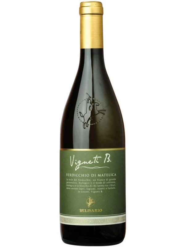 Belisario, Vigneti B Verdicchio di Matelica DOC