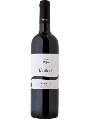 Вино Borgo Tesis Merlot, Friuli DOC Grave 0.75 л