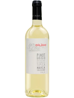 Вино Anna Spinato, Pinot Grigio Diligo IGT 2018, 0.375 л