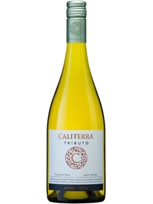 Вино Sauvignon Blanc Tributo DO 2017, 0.75 л