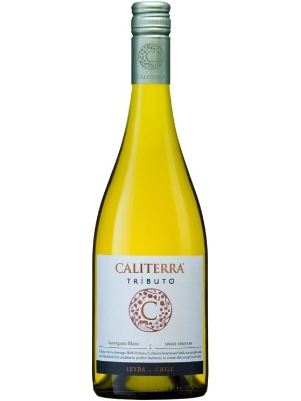 Sauvignon Blanc Tributo DO