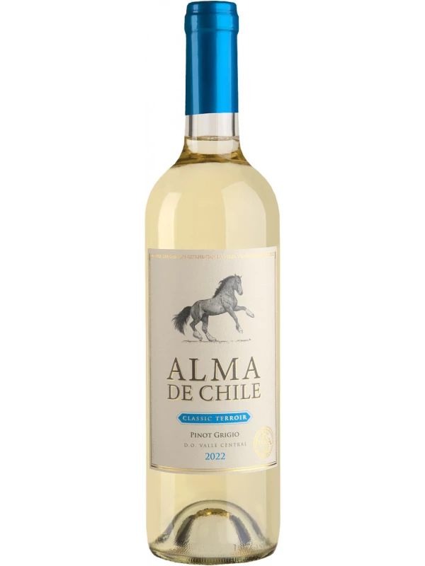Alma de Chile Pinot Grigio, Valle Central DO