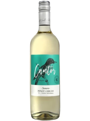 Вино Luis Felipe Edwards, Cantor Sonoro Pinot Grigio, Central Valley DO 2022, 0.75 л