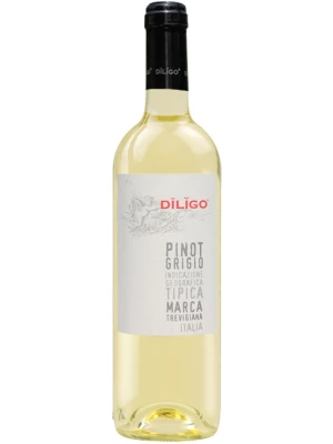 Вино Anna Spinato, Pinot Grigio Diligo IGT 2018, 0.75 л