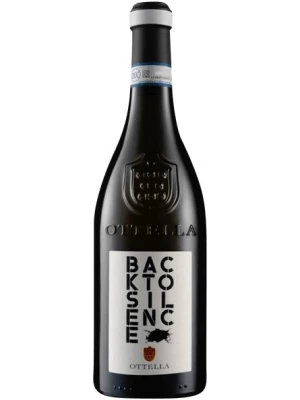 Вино Ottella, Back To Silence Lugana DOC 2021, 0.75 л