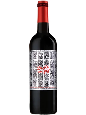 Вино Domaine de Joy, La Vie en Joy, Cotes de Gascogne IGP 2017, 0.75 л