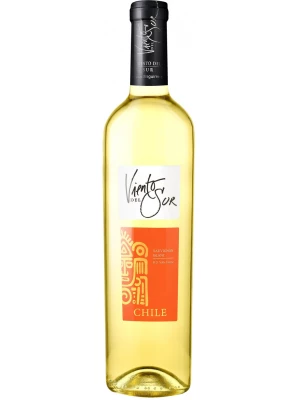 Вино Bodegas y Vinedos de Aguirre, Viento del Sur Sauvignon Blanc, Valle Central DO 0.75 л