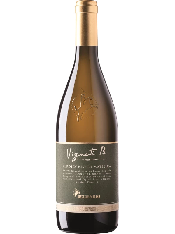 Belisario, Vigneti B Verdicchio di Matelica DOC
