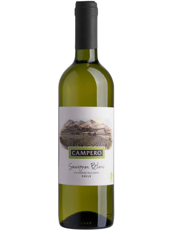 Campero Sauvignon Blanc