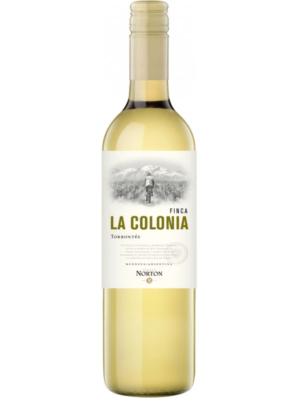 Norton, Finca La Colonia Torrontes