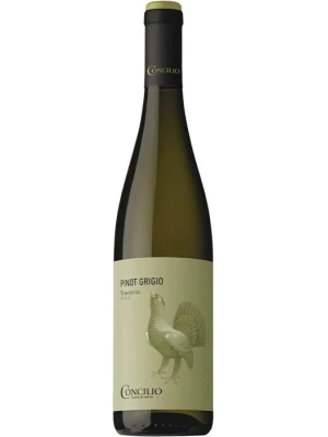 Вино Concilio Pinot Grigio, Trentino DOC 2022, 0.75 л