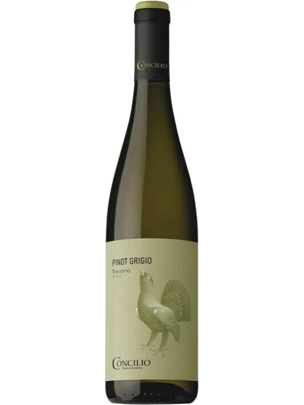 Concilio Pinot Grigio, Trentino DOC