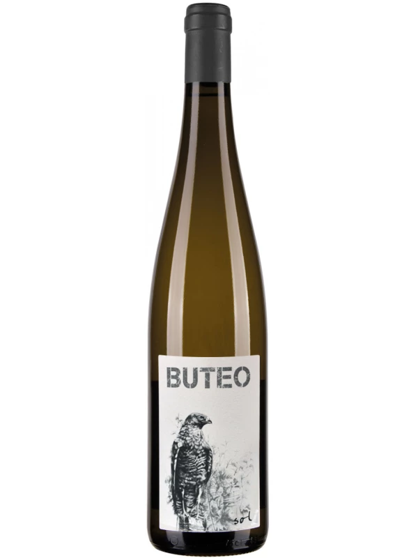 Michael Gindl, Buteo