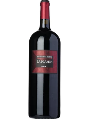 Вино Arzuaga Navarro, La Planta, Ribera del Duero DO 2021, 1.5 л