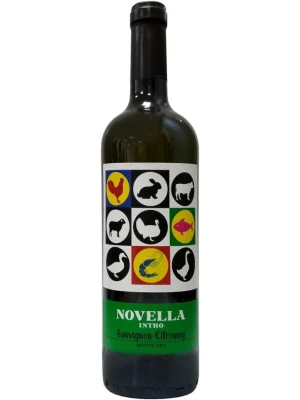 Вино SHP Vinogradnoe, Novella Intro Sauvignon-Citronniy 0.75 л