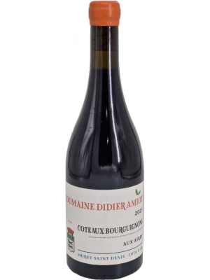 Вино Domaine Didier Amiot, Coteaux Bourguignons Aux Aires AOC 2021, 0.75 л
