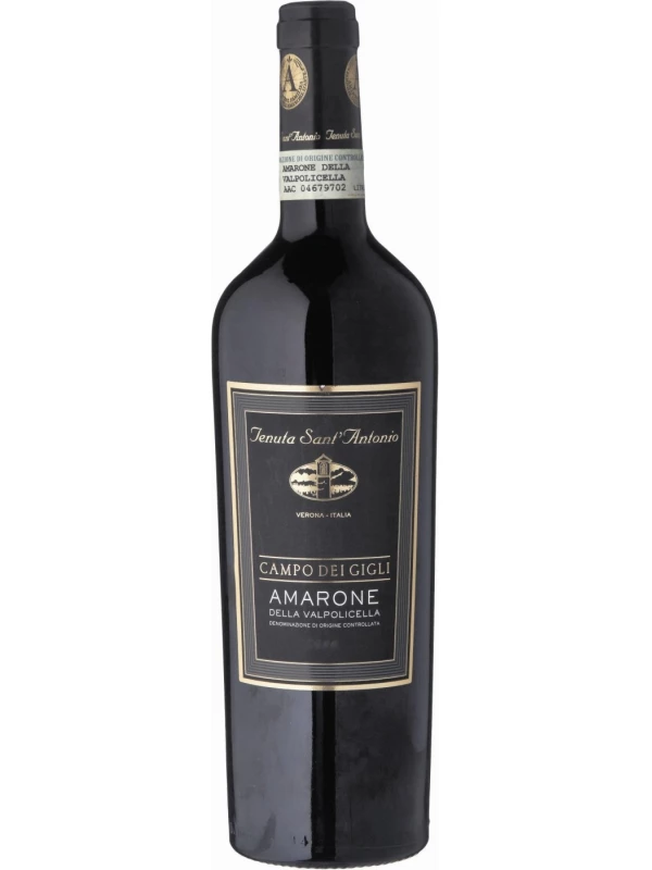 Tenuta Sant'Antonio, Campo dei Gigli, Amarone della Valpolicella DOC