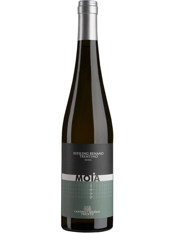 Cantina Sociale Trento, Moia Riesling Renano, Trentino DOC