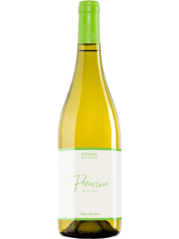 Santa Barbara, Pecorino DOCG