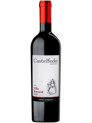 Вино Castelfeder, Lagrein Vigna Villa Karneid, Alto Adige DOC 2019, 0.75 л