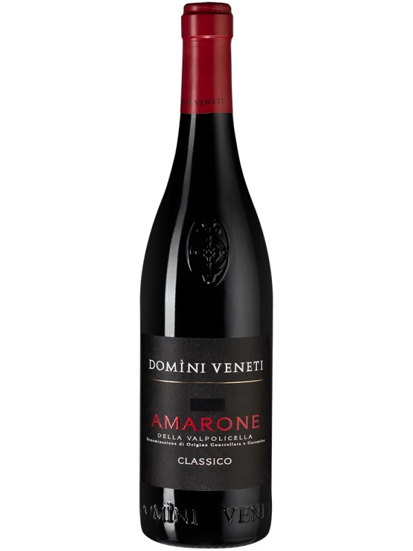 Domini Veneti Amarone della Valpolicella Classico DOC