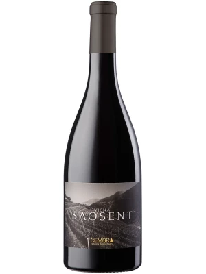 Вино Cembra Cantina di Montagna, Vigna Saosent Pinot Nero, Trentino DOC 2016, 0.75 л