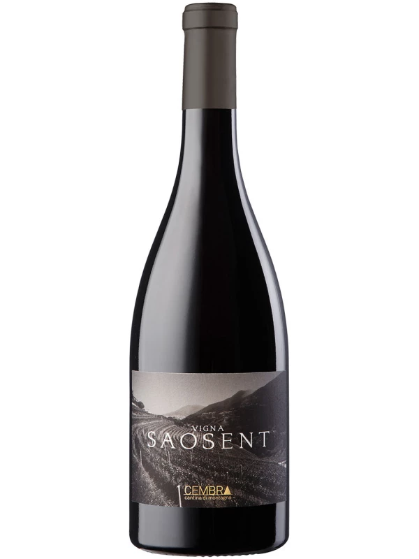 Cembra Cantina di Montagna, Vigna Saosent Pinot Nero, Trentino DOC