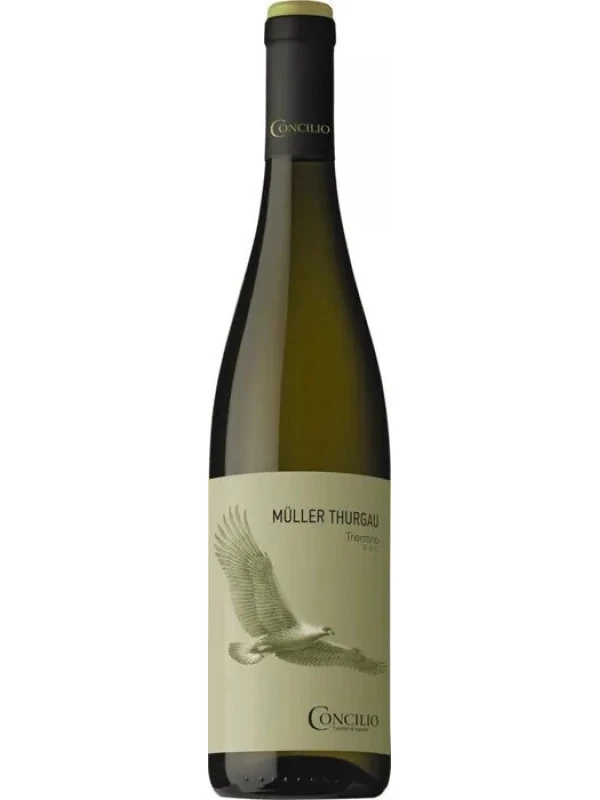Concilio Muller Thurgau, Trentino DOC