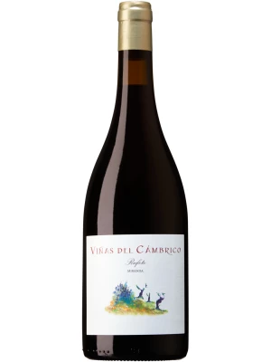 Вино Vinas del Cambrico, Miranda Rufete, Sierra de Salamanca DOP 2017, 0.75 л