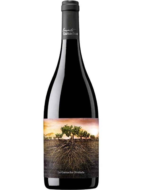 La Garnacha Olvidada de Aragon
