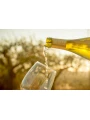 Jean Leon, 3055 Chardonnay, Penedes DO — фото 4