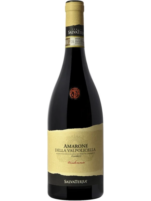SalvaTerra, Amarone della Valpolicella Classico DOCG