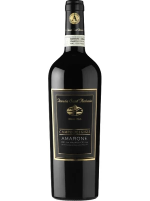 Вино Tenuta Sant'Antonio, Campo dei Gigli, Amarone della Valpolicella DOC 2012, 0.75 л