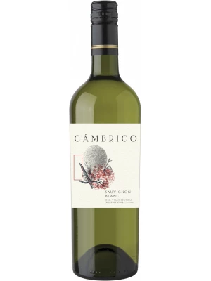 Вино Cambrico Sauvignon Blanc, Valle Central DO 0.75 л