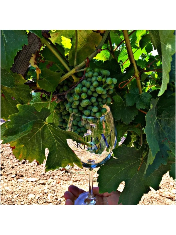 Villa Krim Muscat Dry