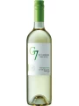 Vina Carta Vieja, G7 Sauvignon Blanc — фото 1