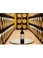 Bodegas Altanza, Gran Reserva, Rioja DOC — фото 2