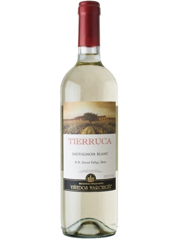 Tierruca Sauvignon Blanc, Curico Valley DO