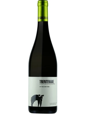Вино San Salvatore, Trentenare Fiano Paestum IGP 2017, 0.75 л