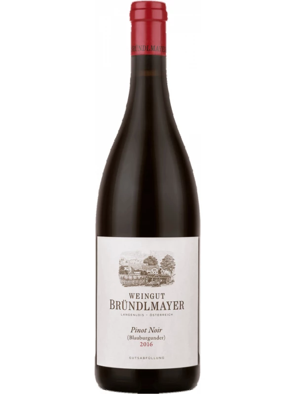 Weingut Brundlmayer, Pinot Noir (Blauburgunder)