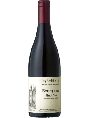 Вино Domaine Guy Amiot et Fils, Bourgogne Pinot Noir AOC 2017, 0.75 л