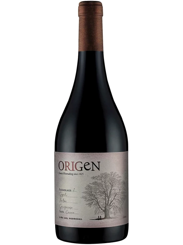Vina del Pedregal, Origen Assemblage I