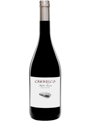 Вино Cambrico, Valle Oscuro Rufete Pizarra, Sierra de Salamanca DOP 2016, 0.75 л