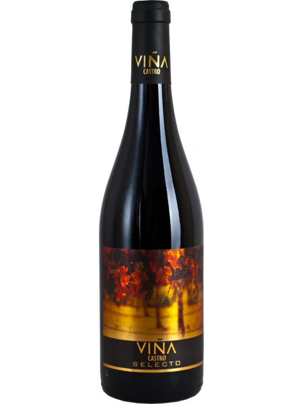 Vina Castro Selecto