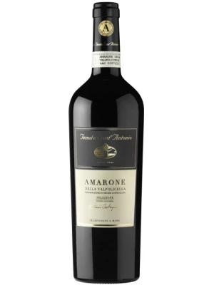 Вино Tenuta Sant'Antonio, Selezione Antonio Castagnedi, Amarone della Valpolicella DOC 2012, 0.375 л