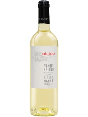 Вино Anna Spinato, Pinot Grigio Diligo IGT 2025, 0.75 л