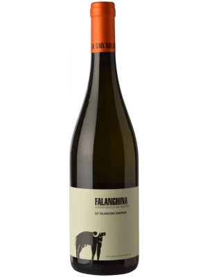 Вино San Salvatore, Falanghina, Campania IGT 2021, 0.75 л