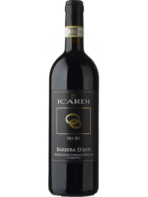 Вино Nuj Suj, Barbera d'Asti DOC 2011, 0.75 л